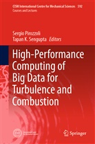 K Sengupta, K Sengupta, Sergi Pirozzoli, Sergio Pirozzoli, Tapan Sengupta, Tapan K. Sengupta - High-Performance Computing of Big Data for Turbulence and Combustion