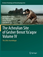 Nir Alperson-Afil, Nira Alperson-Afil, Naam Goren-Inbar, Naama Goren-Inbar, Gadi Herzlinger, Gon Sharon... - The Acheulian Site of Gesher Benot Ya'aqov Volume IV