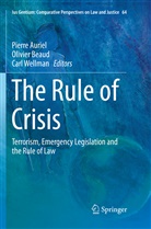 Pierre Auriel, Olivie Beaud, Olivier Beaud, Carl Wellman - The Rule of Crisis