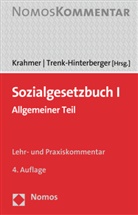 Ut Krahmer, Utz Krahmer, Trenk-Hinterberger, Trenk-Hinterberger, Peter Trenk-Hinterberger - Sozialgesetzbuch I, Kommentar
