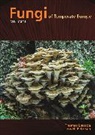 Thomas Laessoe, Thomas Petersen Laessoe, Thomas/ Petersen Laessoe, Thomas Læssøe, Jens H Petersen, Jens H. Petersen... - Fungi of Temperate Europe