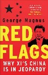 George Magnus, George (UBS) Magnus - Red Flags