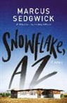 Marcus Sedgwick - Snowflake, AZ