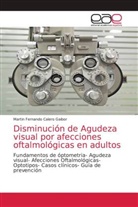 Martin Fernando Calero Gaibor - Disminución de Agudeza visual por afecciones oftalmológicas en adultos
