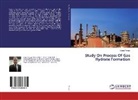 Sajjad Porgar - Study On Process Of Gas Hydrate Formation