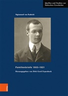 Michael Haderer, Sigismund von Radecki, Dirk-Ger Erpenbeck, Dirk-Gerd Erpenbeck - Familienbriefe 1903-1921
