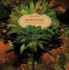 Roland Zoss - Baumlieder Vol. 2 - Bäume des Südens (Hörbuch)