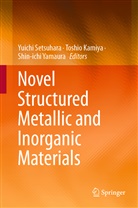 Toshi Kamiya, Toshio Kamiya, Yuichi Setsuhara, Shin-ichi Yamaura - Novel Structured Metallic and Inorganic Materials