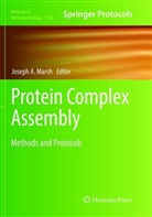 Josep A Marsh, Joseph A Marsh, Joseph A. Marsh - Protein Complex Assembly