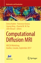 Francesc Grussu, Francesco Grussu, Enrico Kaden, Lipeng Ning, Lipeng Ning et al, Chantal M. W. Tax... - Computational Diffusion MRI