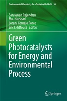 Lorena Cornejo Ponce et al, Eric Lichtfouse, M Naushad, Mu Naushad, Mu. Naushad, Lorena Cornejo Ponce... - Green Photocatalysts for Energy and Environmental Process