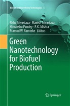 P. K. Mishra, Himanshu Pandey, Himanshu Pandey et al, Pramod W. Ramteke, Manis Srivastava, Manish Srivastava... - Green Nanotechnology for Biofuel Production