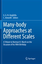 Amovilli, Amovilli, C. Amovilli, G. G. N Angilella, G.G.N Angilella, G N Angilella... - Many-body Approaches at Different Scales