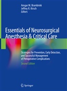 Ansgar M. Brambrink, Jeffrey R. Kirsch, Ansga M Brambrink, Ansgar M Brambrink, R Kirsch, R Kirsch - Essentials of Neurosurgical Anesthesia & Critical Care