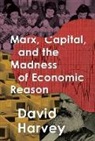 David Harvey - Marx, Capital, and the Madness of Economic Reason