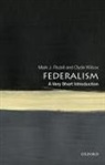 Mark Rozell, Mark J. Rozell, Rozell Mark J., Clyde Wilcox - Federalism