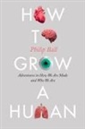 Philip Ball - How to Grow a Human