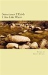 Smoky Zeidel - Sometimes I Think I Am Like Water