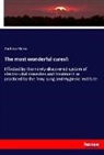 Andrew Stone - The most wonderful cures!: