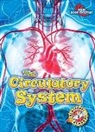 Rebecca Pettiford - The Circulatory System