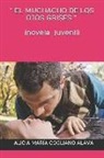 Alicia Maria Cogliano - " El Muchacho de Los Ojos Grises " ( Novela Juvenil )