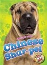 Chris Bowman - Chinese Shar-Pei