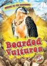 Lindsay Shaffer - Bearded Vultures