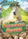 Lindsay Shaffer - Mountain Goats