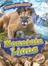 Lindsay Shaffer - Mountain Lions