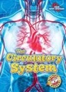 Rebecca Pettiford - The Circulatory System