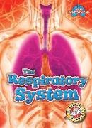 Rebecca Pettiford - The Respiratory System
