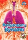Rebecca Pettiford - The Respiratory System