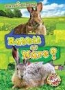 Christina Leaf - Rabbit or Hare?