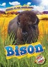 Kaitlyn Duling - Bison