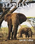 Errol Fuller, Fuller Errol - Elephant