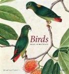 Jonathan Elphick - Birds