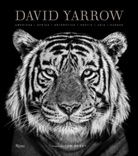 Tom Brady, David Yarrow - David Yarrow Photography