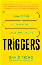 David Richo - Triggers