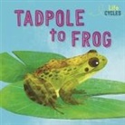 Rachel Tonkin, Tonkin Rachel - Life Cycles: From Tadpole to Frog