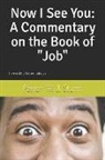 Pastor W. J. Sturm - Now I See You: A Commentary on the Book of Job