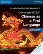 Sandra Hon Yu, Ivy Liu So Ling, Ivy Mak Liu So Ling, Martin Mak - Cambridge Igcse Chinese As a First Language Workbook