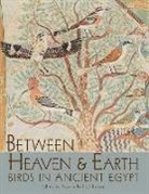 Rozenn Bailleul-LeSuer - Between Heaven and Earth