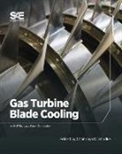 Chaitanya Ghodke, Chaitanya D. Ghodke - Gas Turbine Blade Cooling