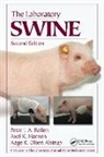 Bollen, Peter J. A. Bollen, Peter J. A. (University of Southern Denmar Bollen, Peter J. A. K. Hansen Bollen, Bollen Peter J. A., Axel K. Hansen... - Laboratory Swine