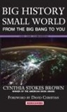 Cynthia Stokes Brown, Cynthia Stokes Brown - Big History, Small World