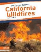 Sue Gagliardi - California Wildfires