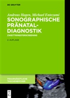 Michae Entezami, Michael Entezami, Andreas Hagen - Sonographische Pränataldiagnostik