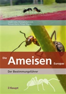 Claude Lebas, Rumsaïs Blatrix, Christophe Galkowski, Philippe Wegnez - Die Ameisen Europas