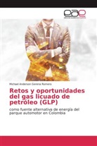 Michael Anderson Gerena Romero - Retos y oportunidades del gas licuado de petróleo (GLP)