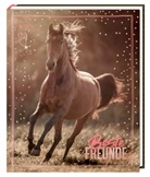 Christiane Slawik - Freundebuch - I LOVE HORSES - Beste Freunde